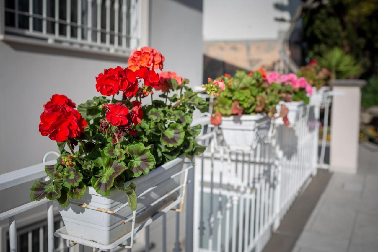 Saint Joseph Hotel Livorno Exterior photo